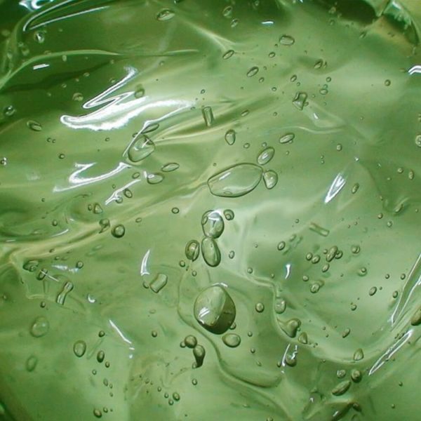 THE SAEM Гель с алоэ универсальный увлажняющий (Not For Sale)Jeju Fresh Aloe Soothing Gel 99% 120мл