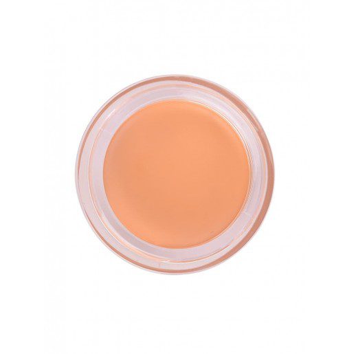 THE SAEM Консилер-корректор(насыщ.беж)/Cover Perfection Pot Concealer 02 Rich Beige 4g
